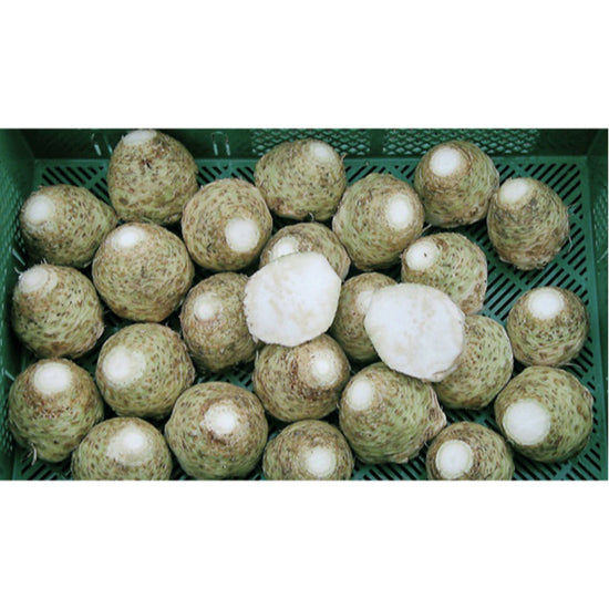 Image Title CELERIAC; Ibis